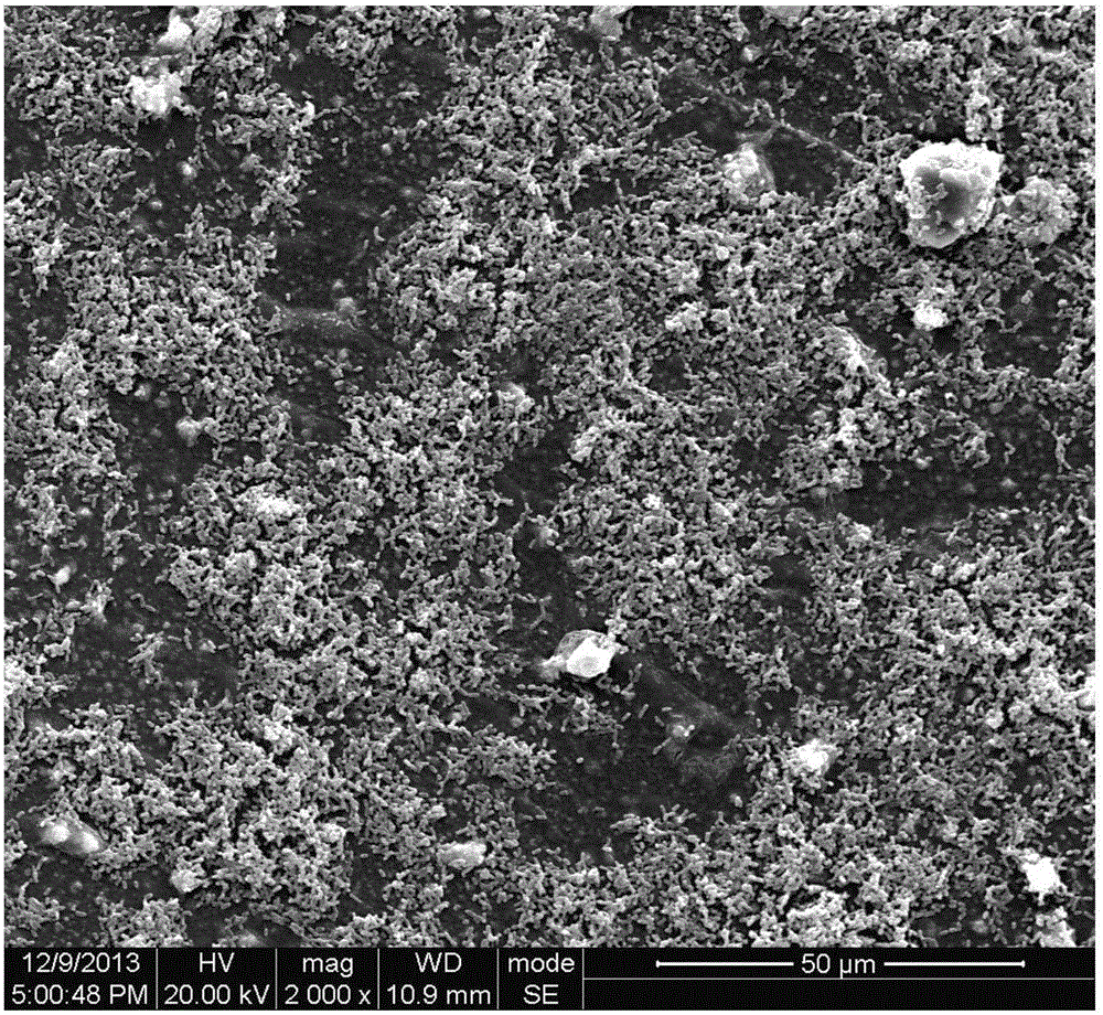 Hollow fiber ultrafiltration membrane with antibacterial and antipollution functions and preparation method thereof