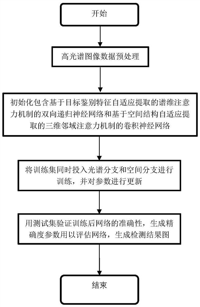 Hyperspectral image target detection method and system based on spectral dimension and spatial cooperation neighborhood attention