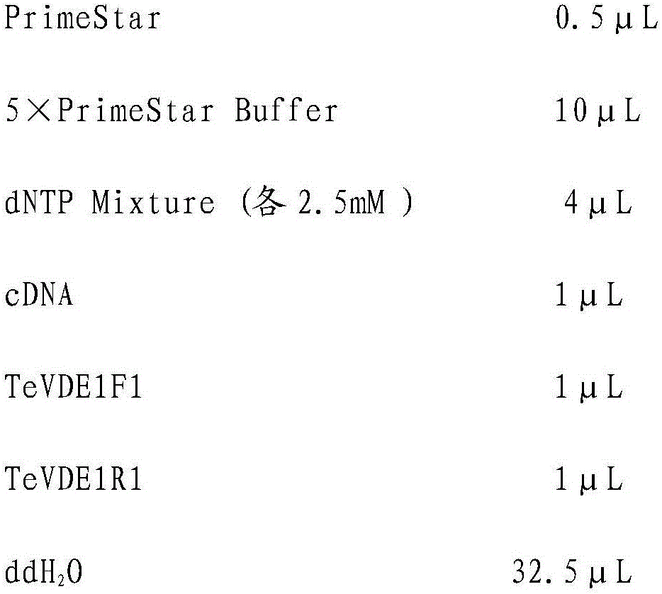 Carotenoid synthetic route Tagetes erecta violaxanthin de-epoxidase (TeVDE1) gene and application