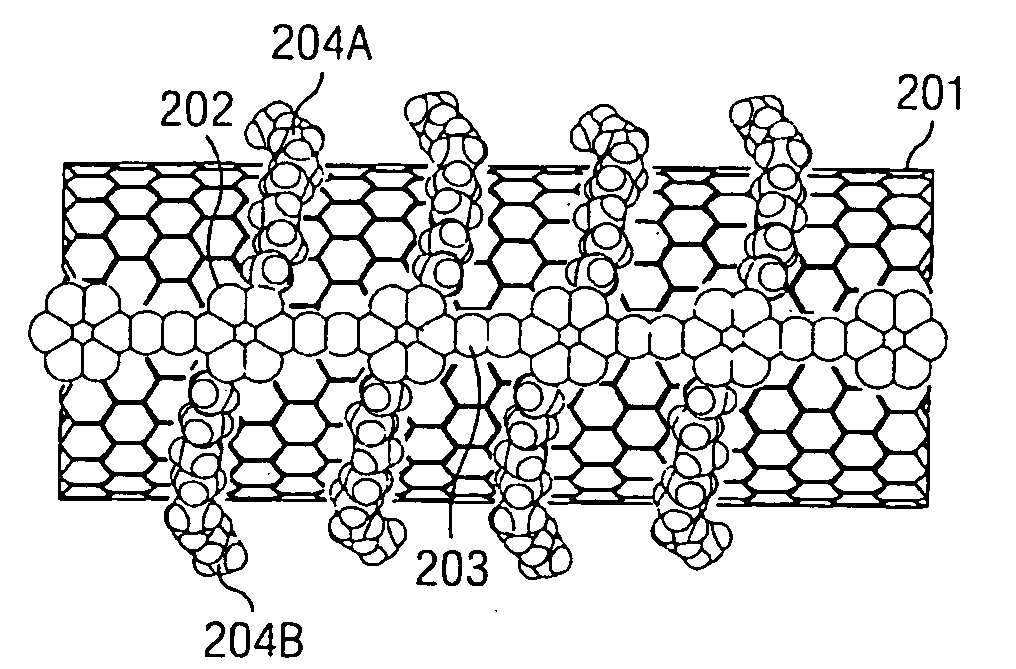 Polymer and method for using the polymer for noncovalently functionalizing nanotubes