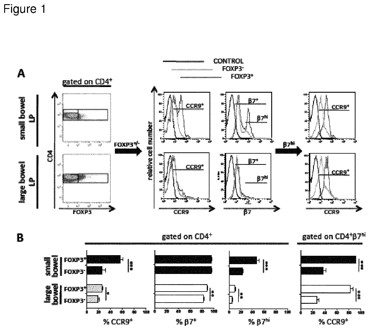 Regulatory T-cells for use in the treatment of inflammatory disorders of the human gastrointestinal tract