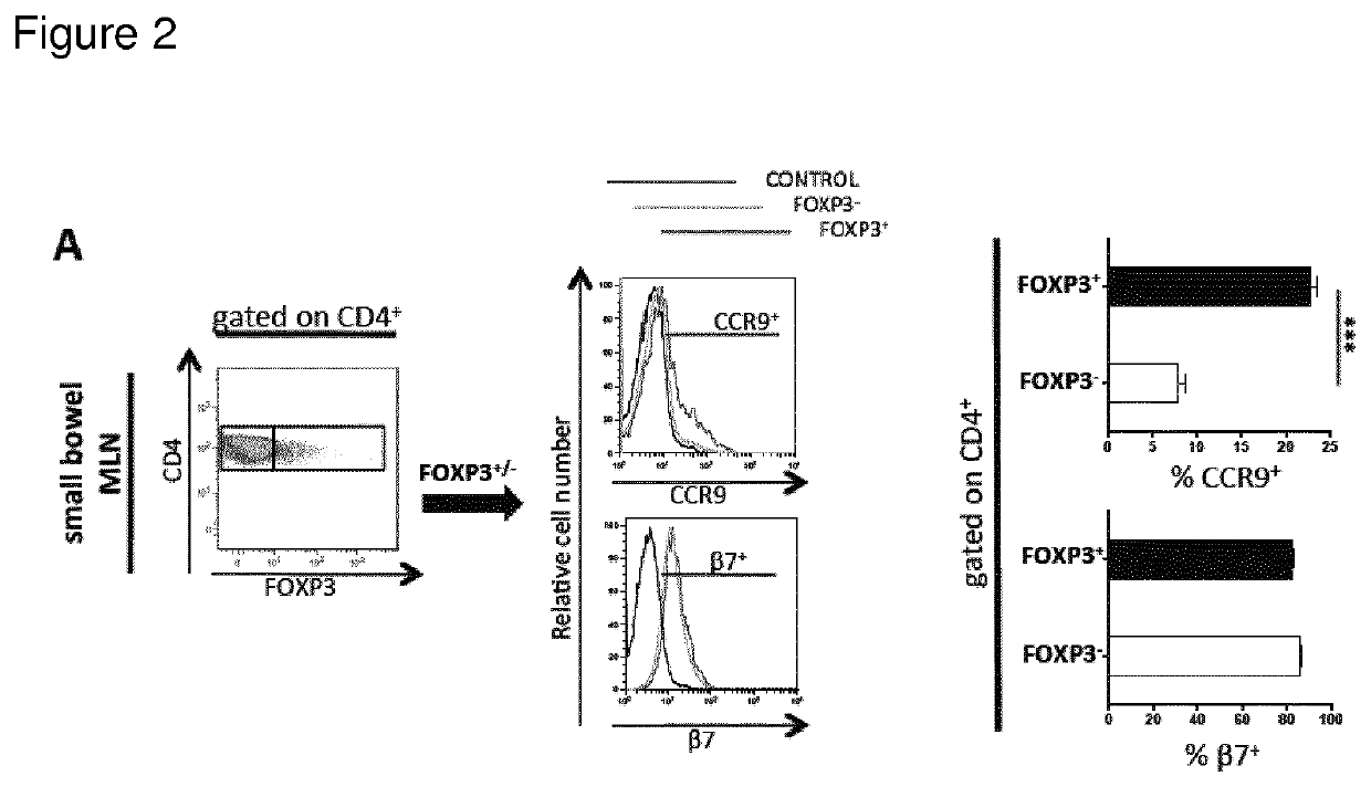 Regulatory T-cells for use in the treatment of inflammatory disorders of the human gastrointestinal tract