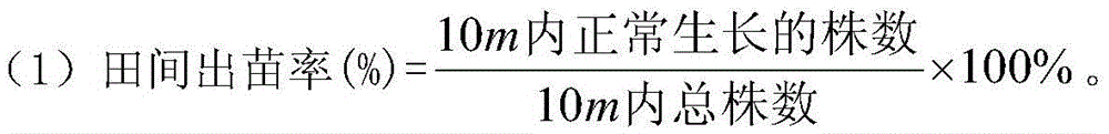 Cold-resistant corn seed coating agent