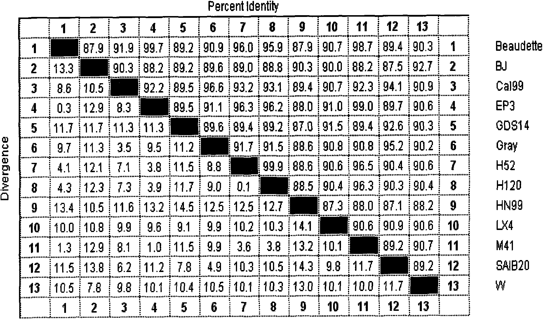 Membrane protein gene of chicken infective bronchitis virus and clone method thereof