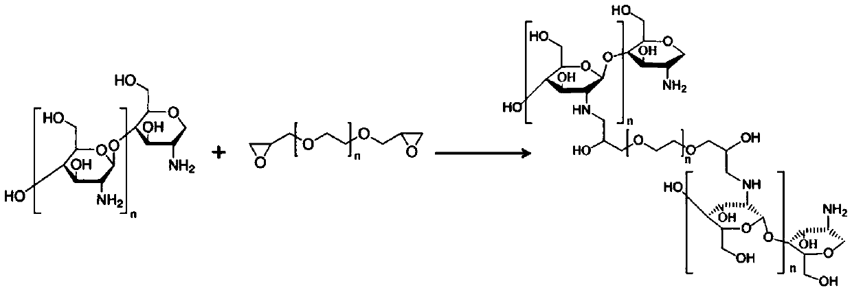 Hydrophilic chitosan integral material and preparation and application thereof