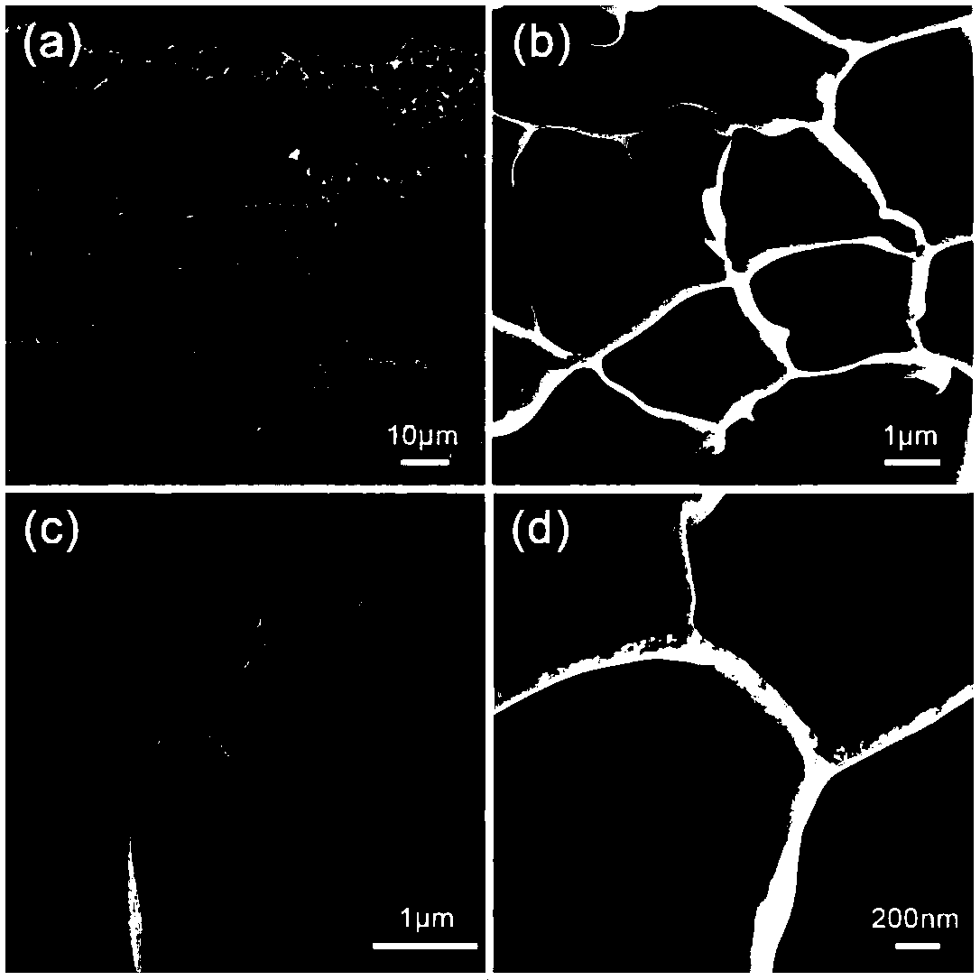 Hydrophilic chitosan integral material and preparation and application thereof