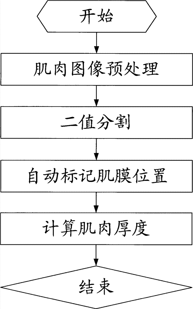 Processing method of muscle image by utilizing Hough transform