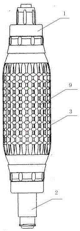 Fusiform scale-like positive and negative pressure biphase hand pump