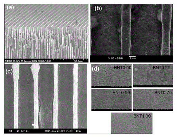 High-performance electrochemical capacitor plate material and preparation method thereof