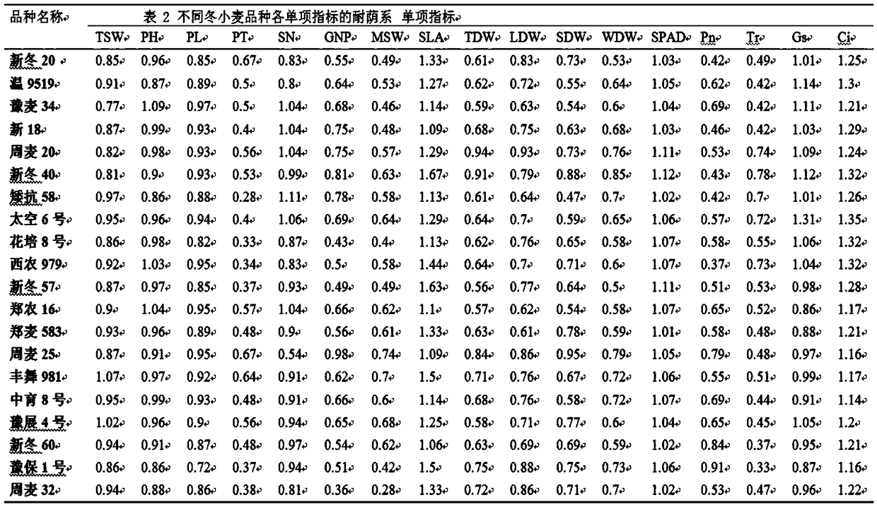 Comprehensive Identification Model, Method and Application of Shade Tolerance in Wheat