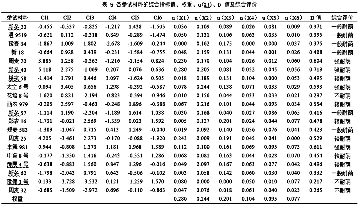 Comprehensive Identification Model, Method and Application of Shade Tolerance in Wheat