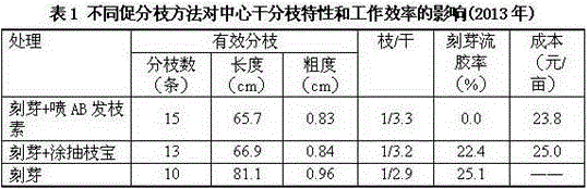 Method for promoting branching of central trunk of tree-rootstock sweet cherry