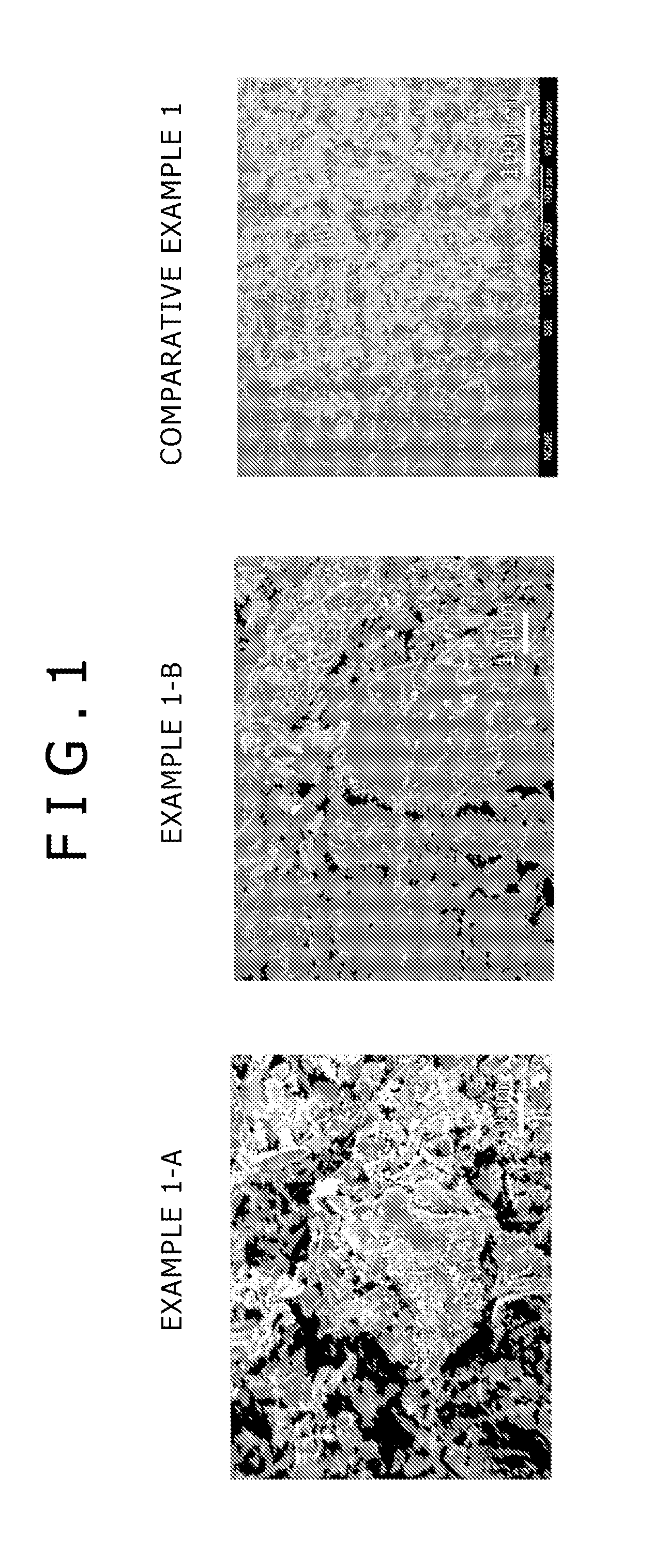 Fungicide, photo catalytic composite material, adsorbent, and depurative