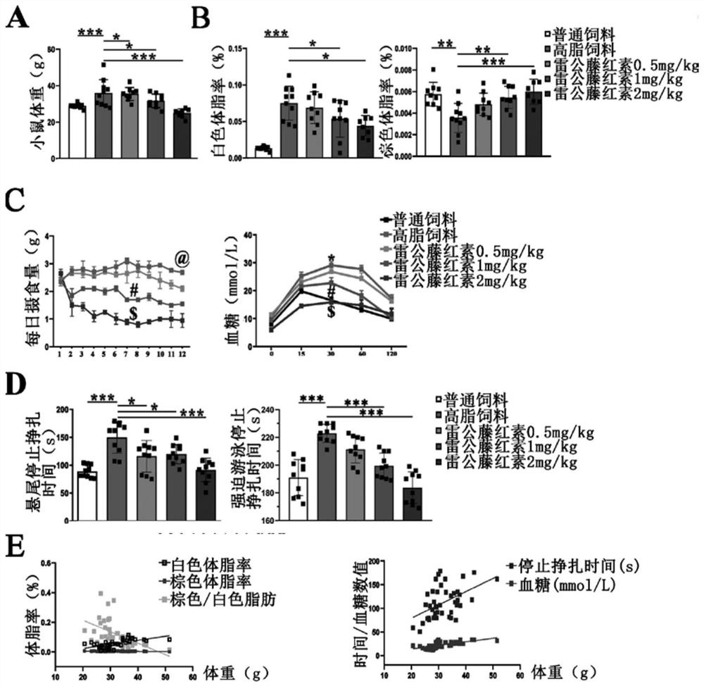 Application of Tripterygium in the Preparation of Drugs for Treating Complicated Refractory Depression