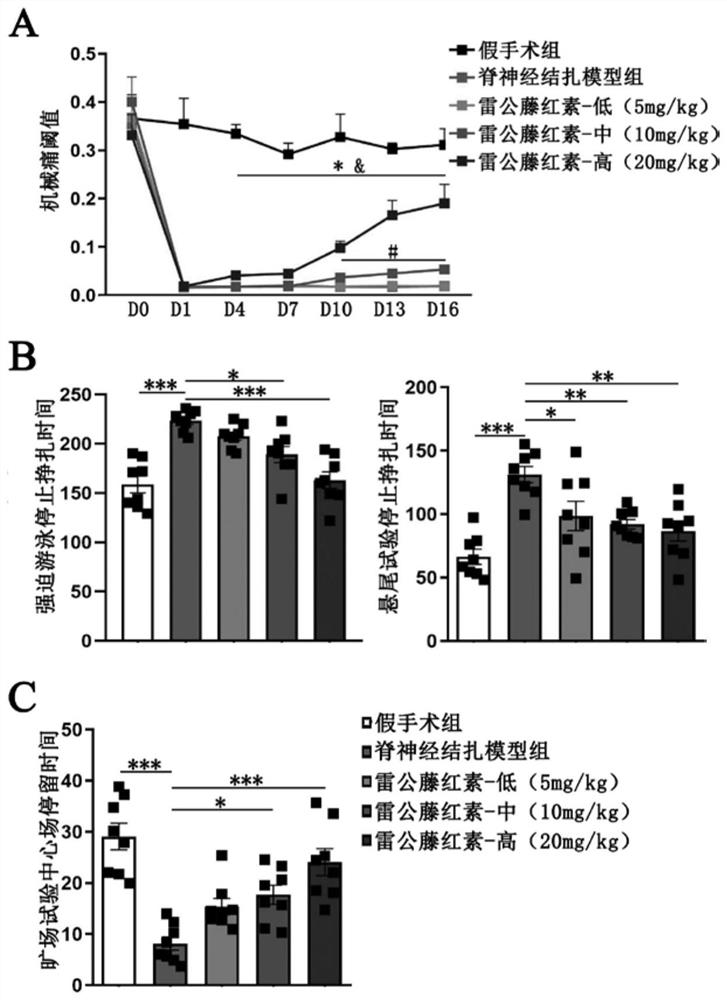 Application of Tripterygium in the Preparation of Drugs for Treating Complicated Refractory Depression