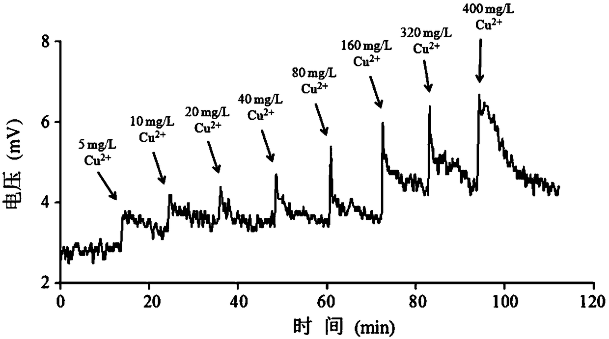 Method and device for monitoring heavy metal pollution of water on basis of concentration cell