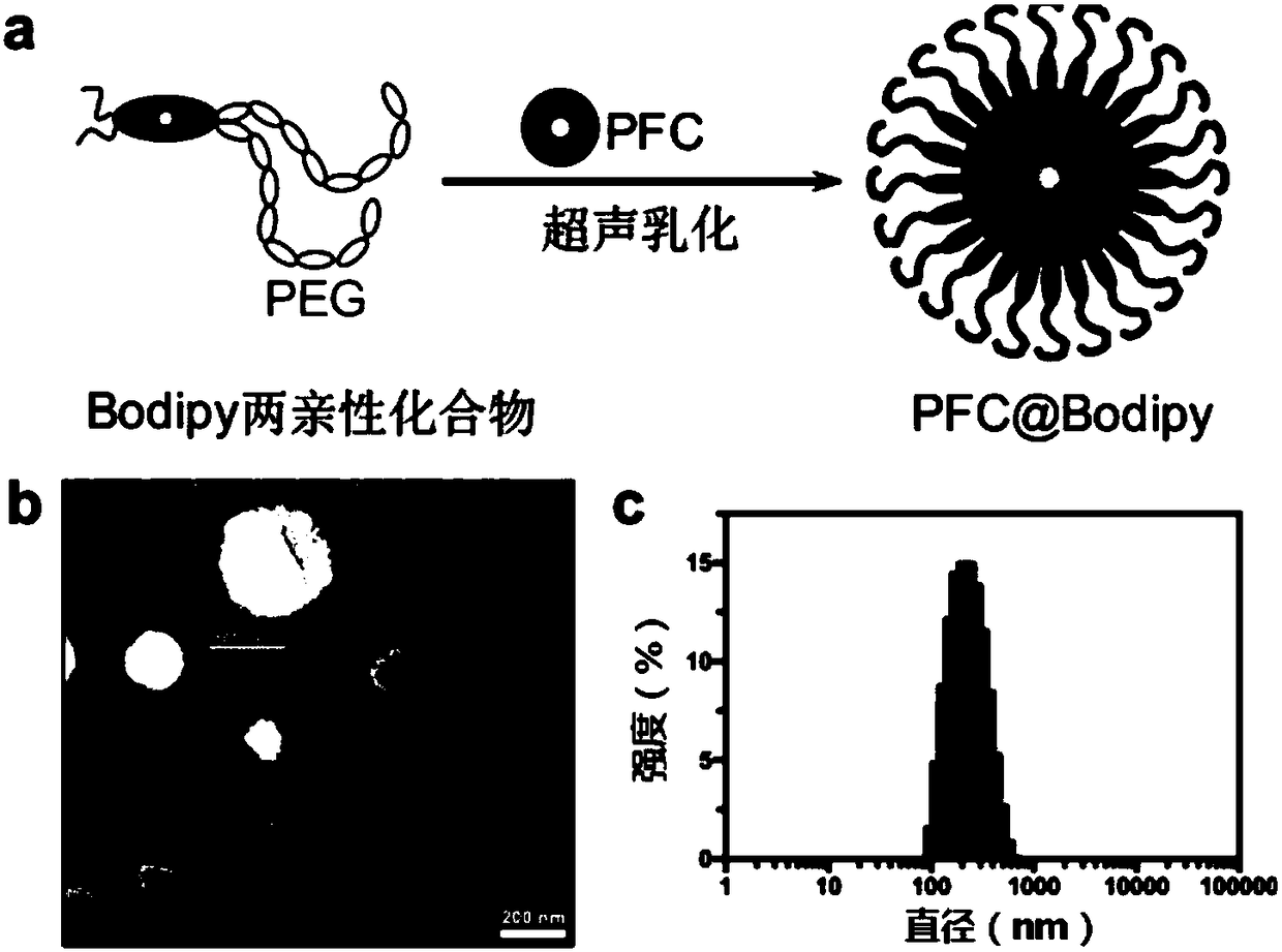 Nano emulsion as well as preparation method and application thereof