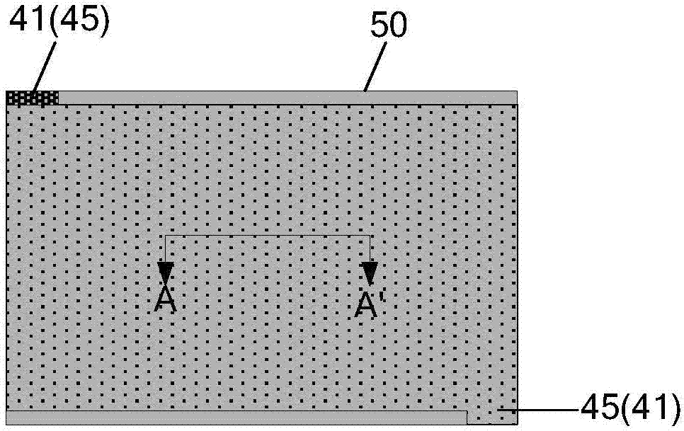 OLED (Organic Light-Emitting Diode) array substrate and display device