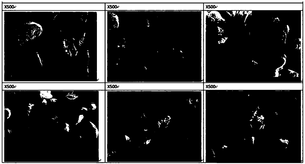 A method for improving the reaction efficiency of a terephthalate plasticizer