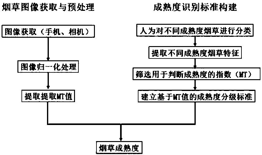 Distinguishing method of maturity degrees of tobaccos based on image analysis