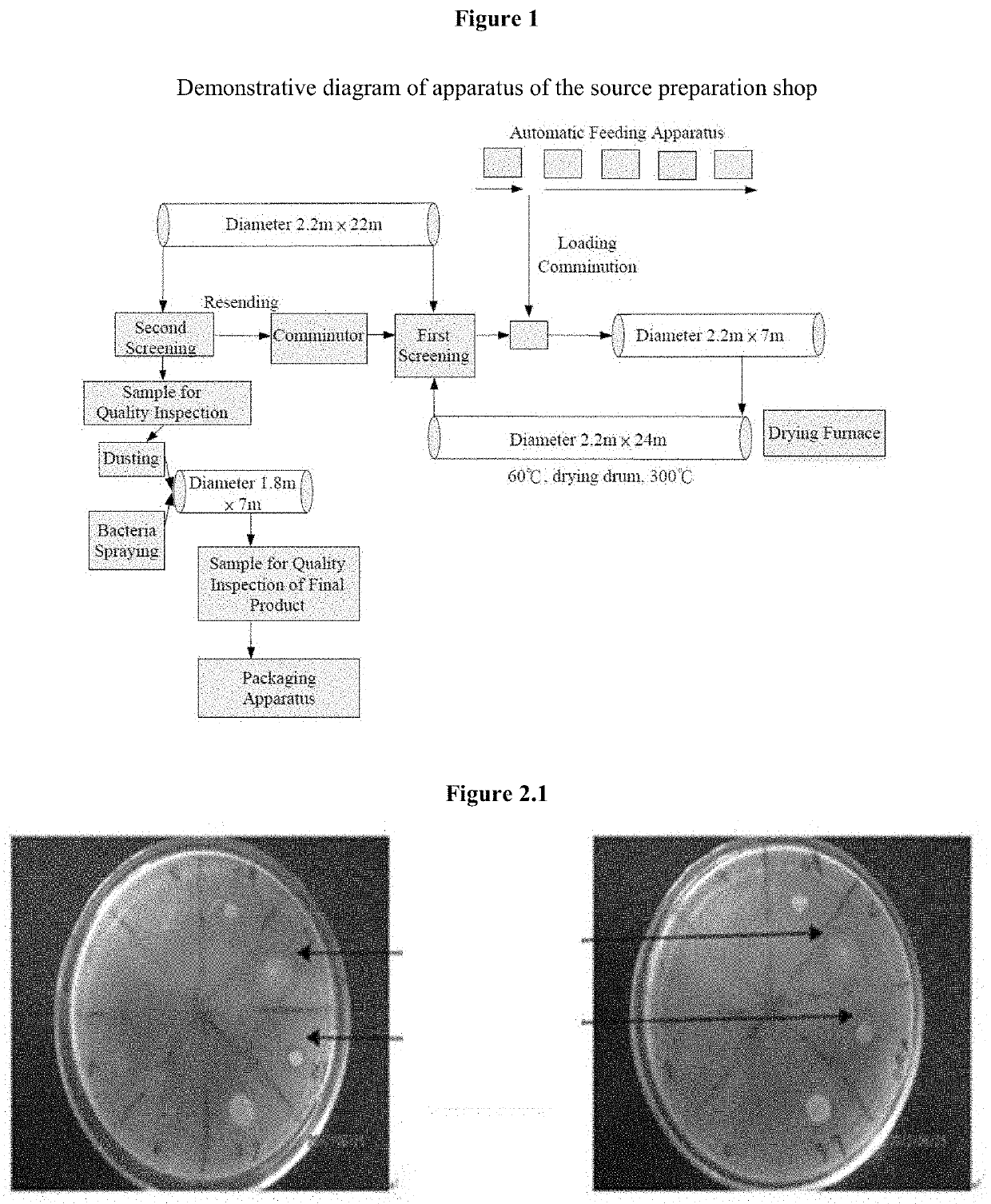 Bacillus mucilaginosus and high-density fermentation method and use thereof