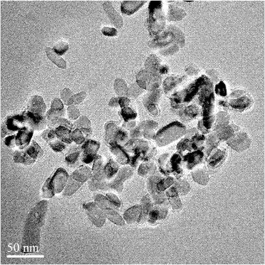 Preparation method of pure nano-silicon ZSM-5 zeolite