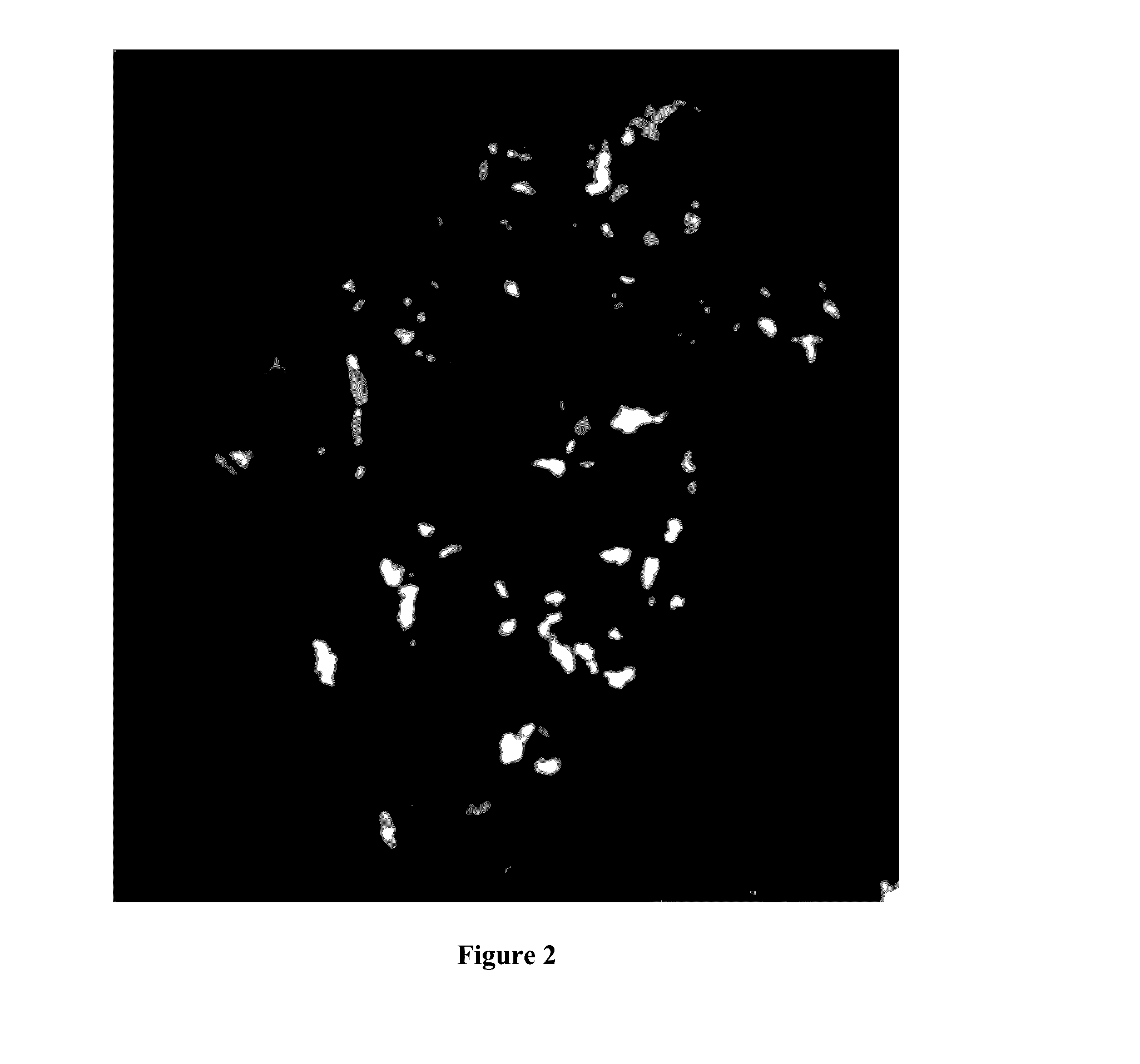 Cell modulation nanocomposition, and methods of use