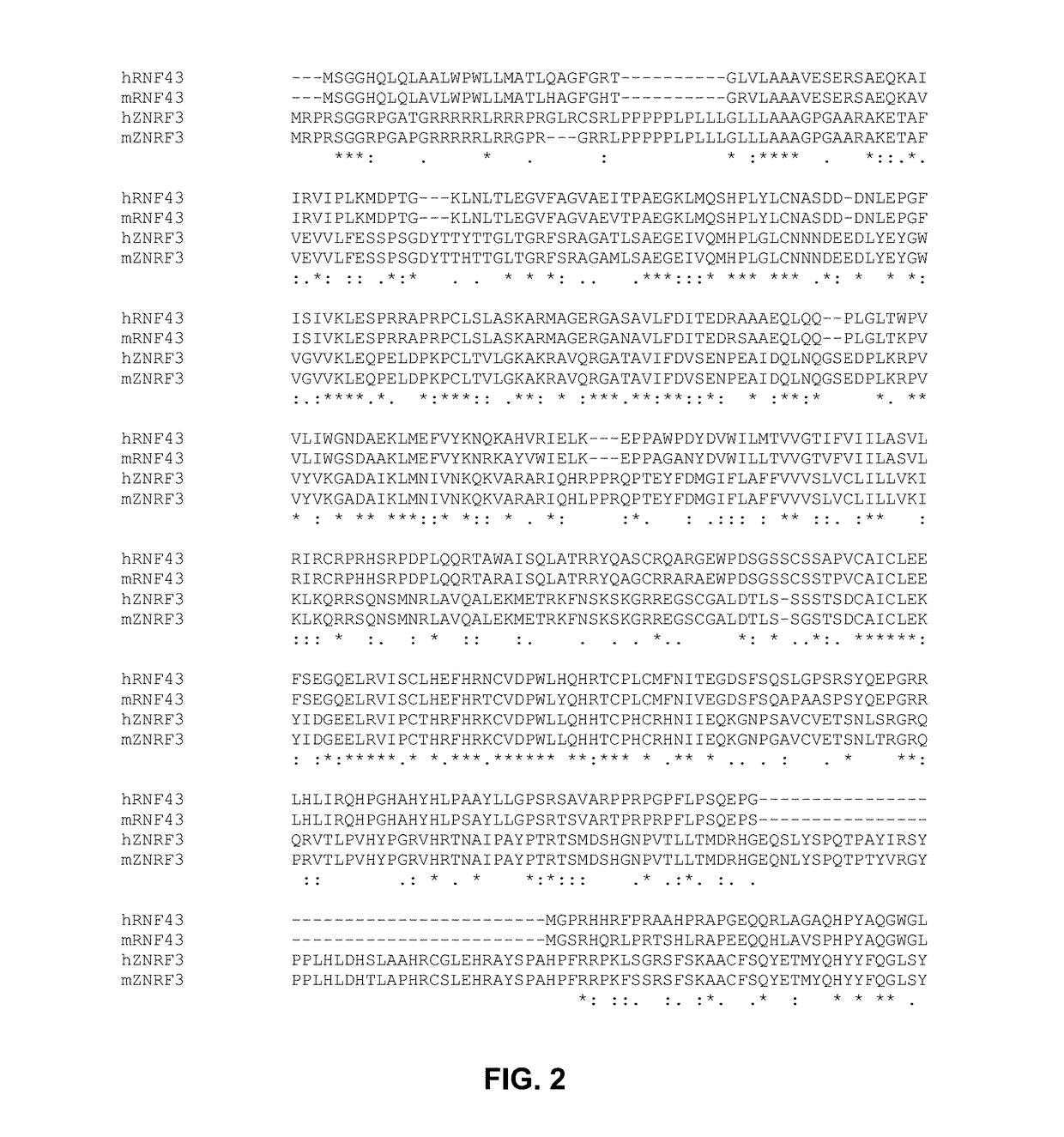 Cancer patient selection for administration of wnt signaling inhibitors using rnf43 mutation status