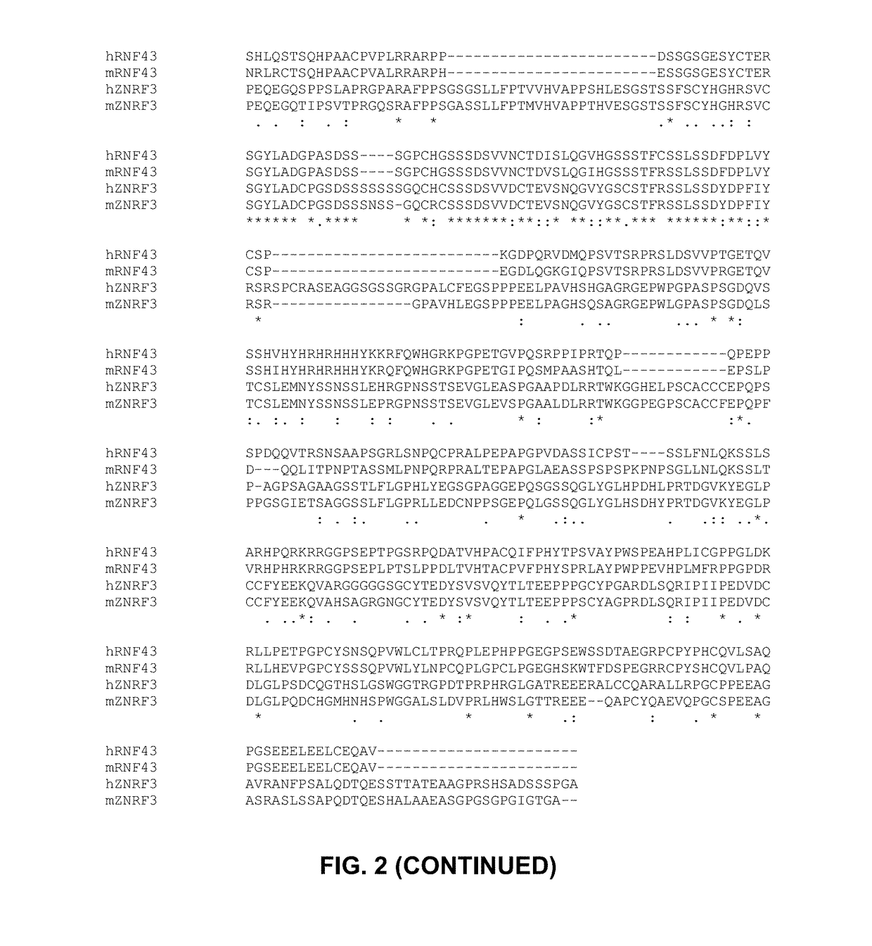 Cancer patient selection for administration of wnt signaling inhibitors using rnf43 mutation status