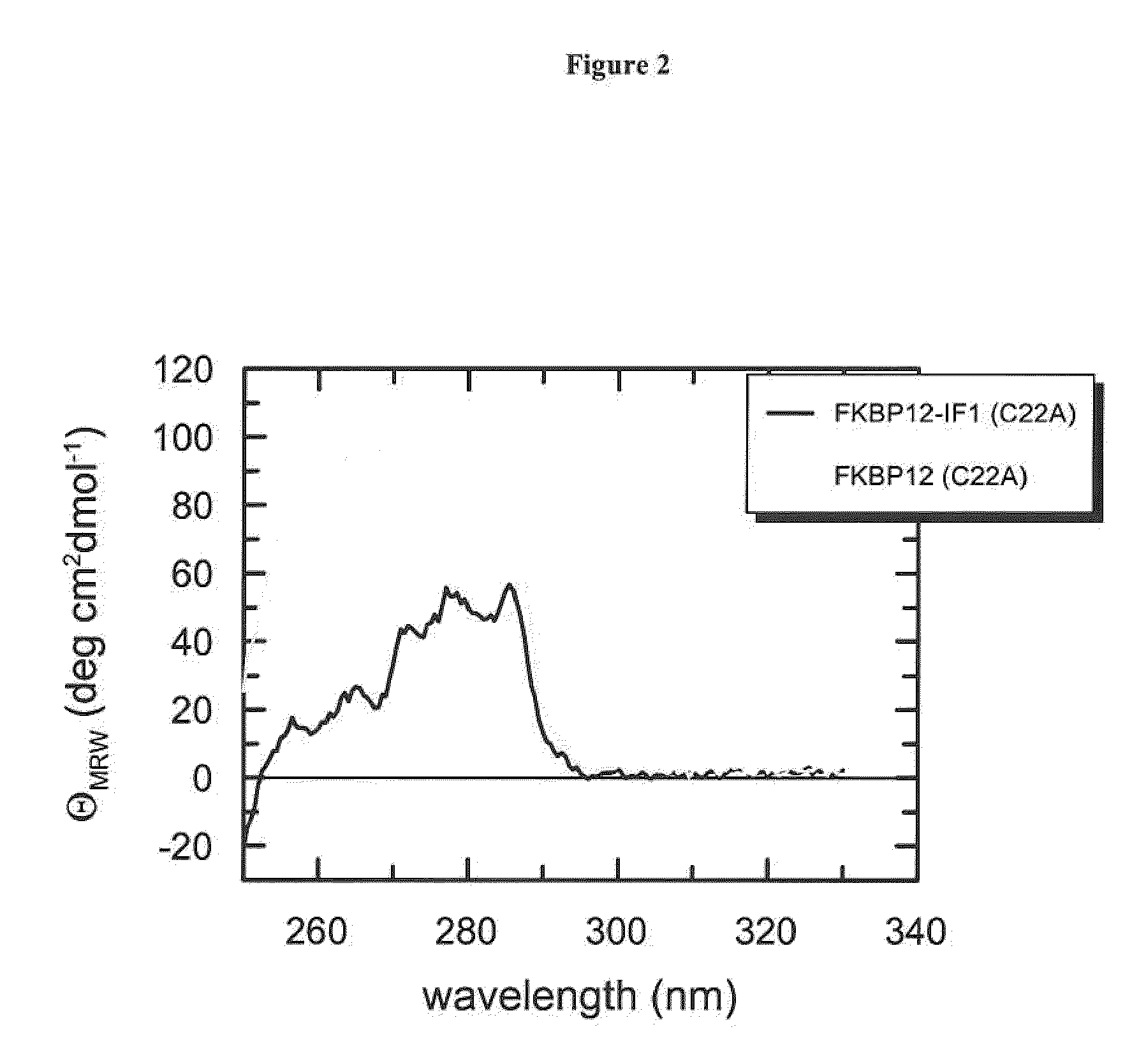 Fusion protein comprising an <i>E. coli </i>chaperone protein and a human chaperone protein