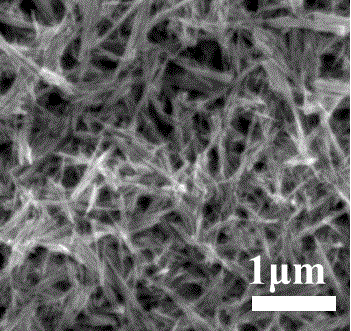 Preparation method of size-controllable mono-crystalline zinc oxide nano-rods