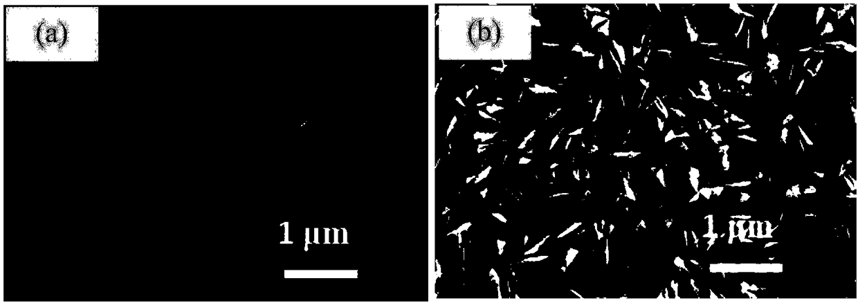 Stable lithium metal negative electrode