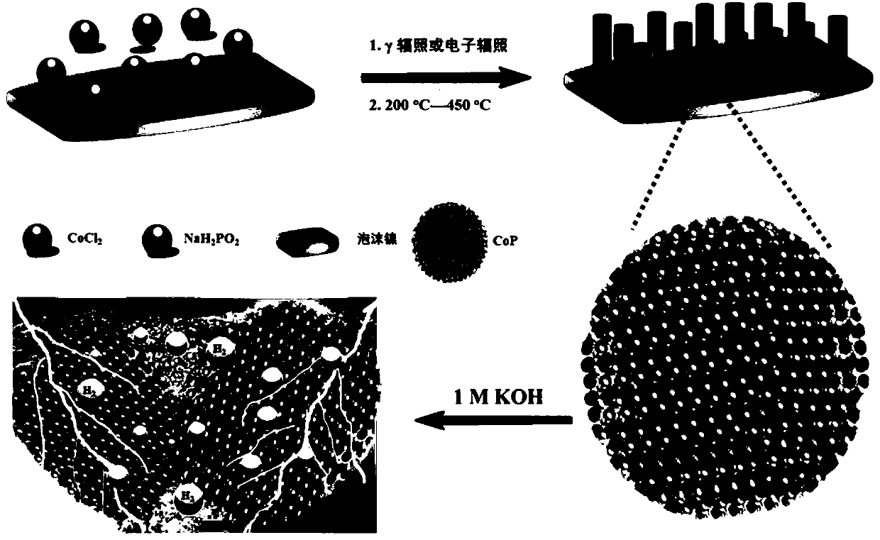 CoPxOy nano-array composite material grown on surface of conductive substrate as well as preparation and application of CoPxOy nano-array composite material