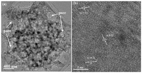 CoPxOy nano-array composite material grown on surface of conductive substrate as well as preparation and application of CoPxOy nano-array composite material