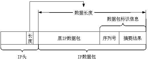 Smart power grid embedded device network detection assessment system and detection assessment method