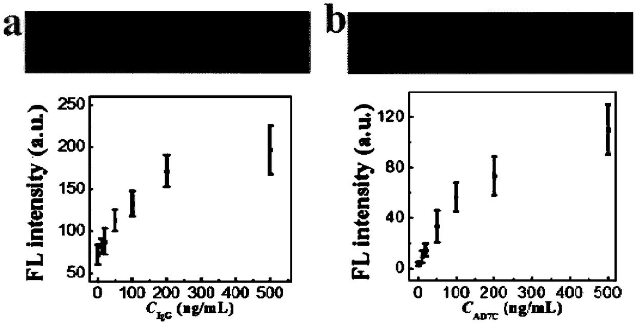 Microfluidic chip based on Morpho menelaus and manufacturing method thereof