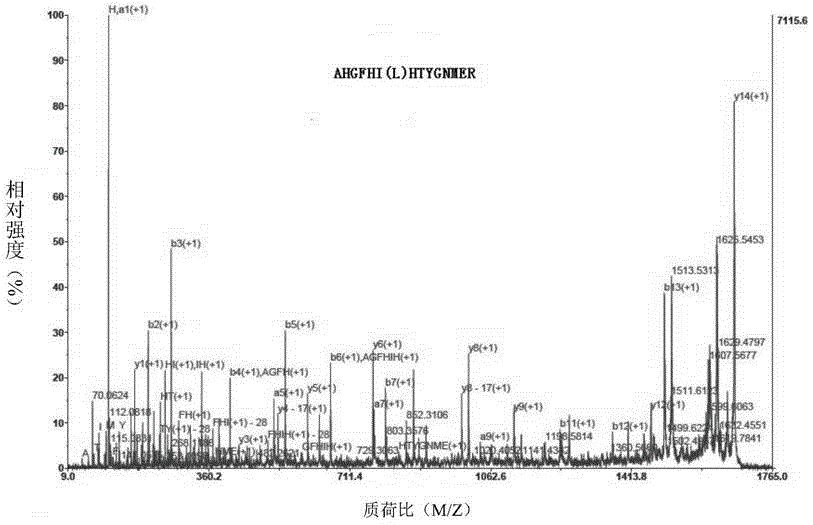 Pinctada martensii superoxide dismutase (PmECSOD) and application thereof