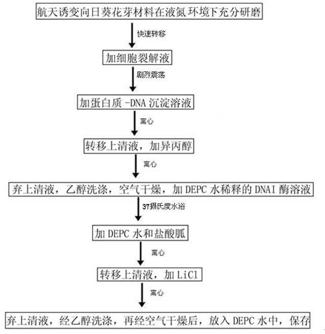 Method for extracting total RNA