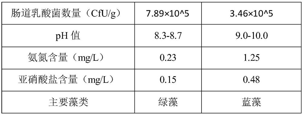 Ingredients and preparation method of natural plant fermented feed for feeding loaches