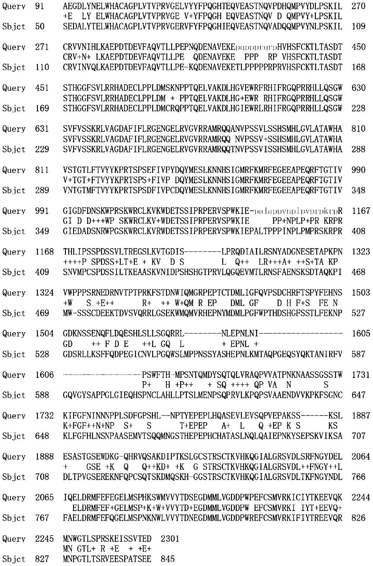 The auxin response factor aparf2 of Agapanthus chinensis and its coding gene and probe