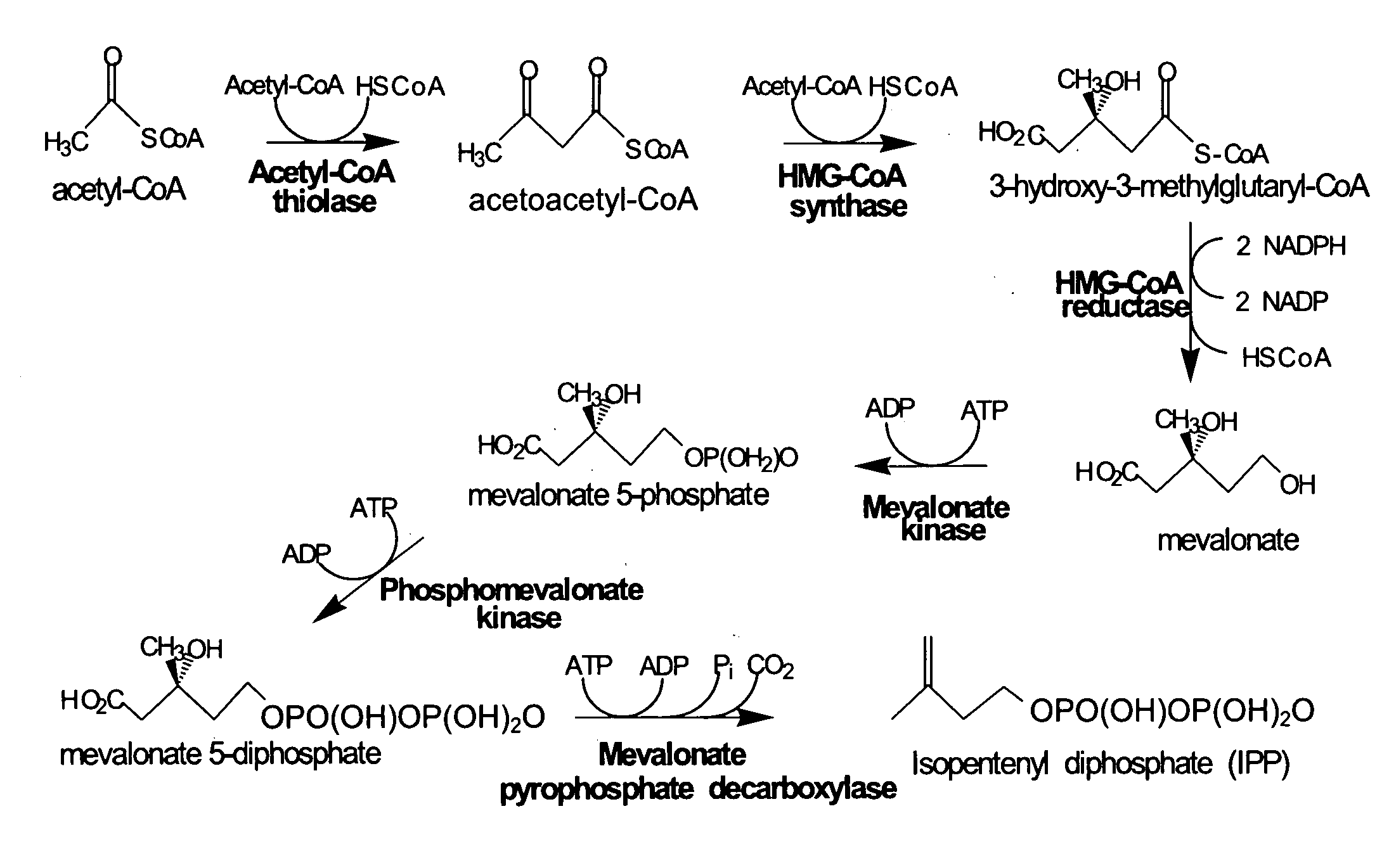 Fuel compositions comprising tetramethylcyclohexane