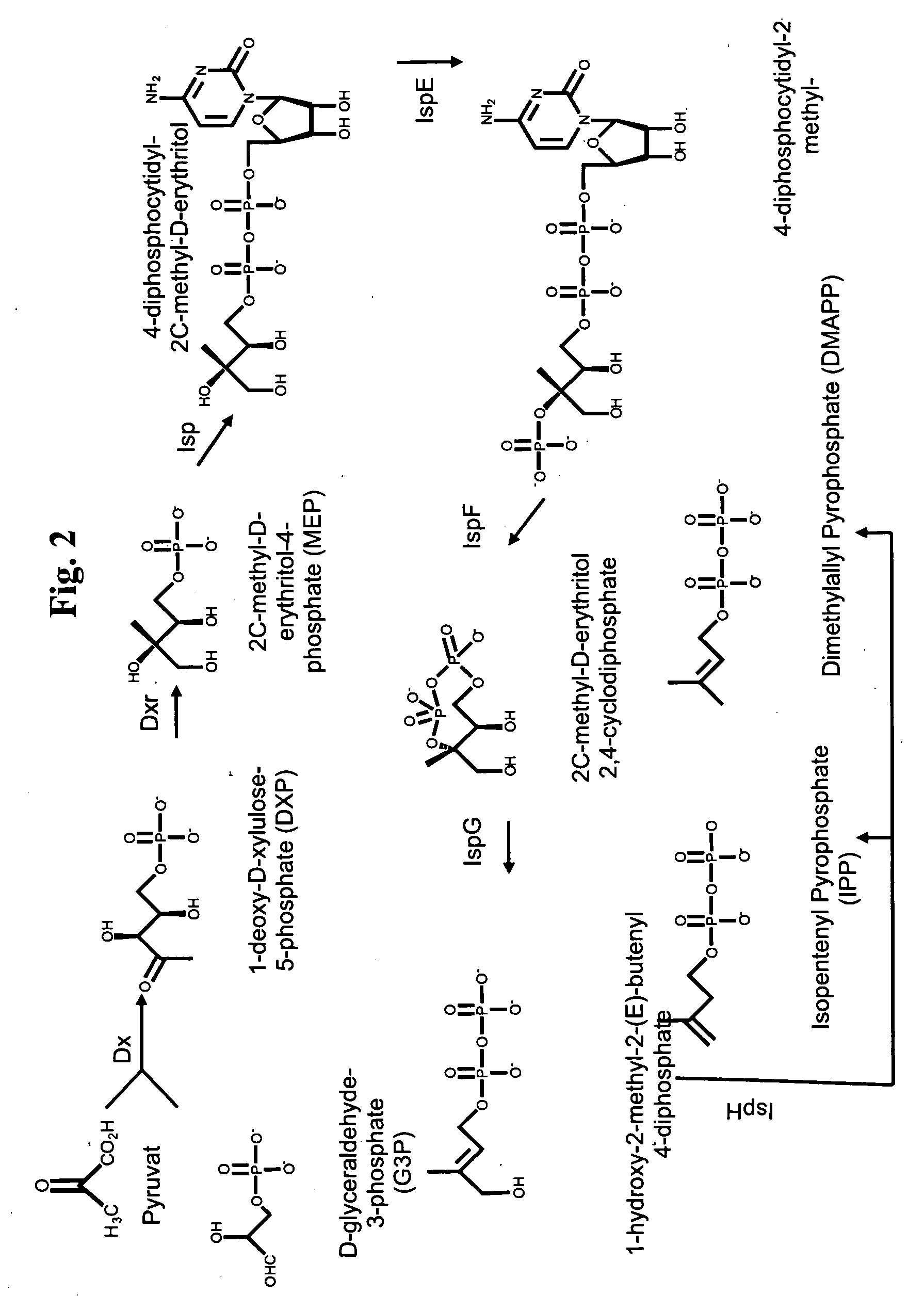 Fuel compositions comprising tetramethylcyclohexane