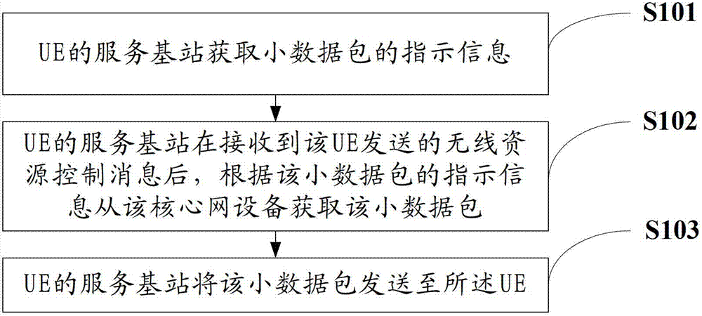 Data packet transmission method and device