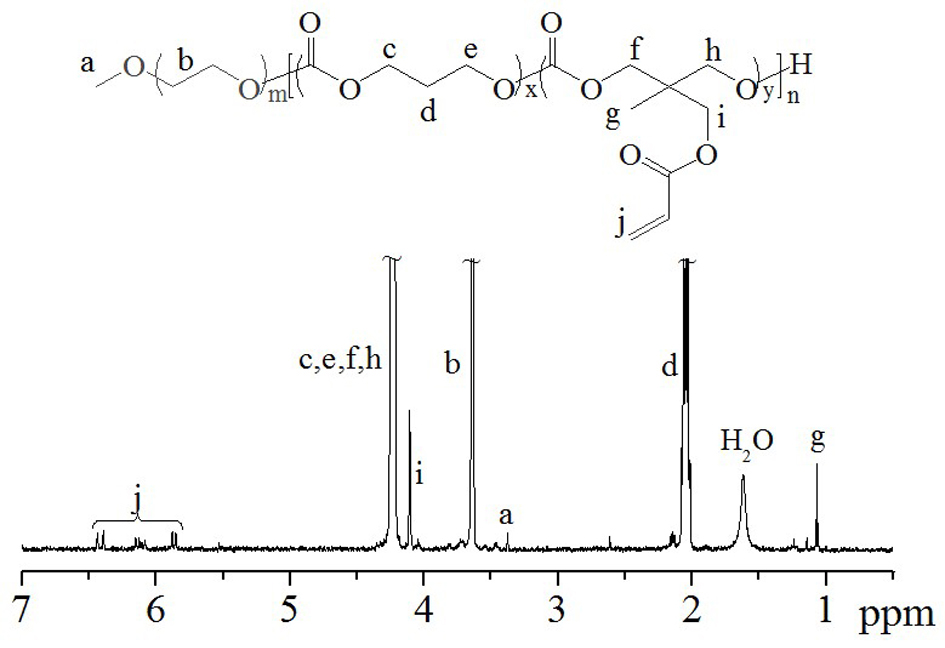 Vesicles consisting of amphiphilic polymer and application of vesicles