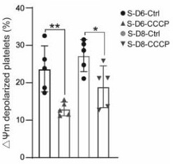 Application of mitochondrial autophagy activator in platelet preservation