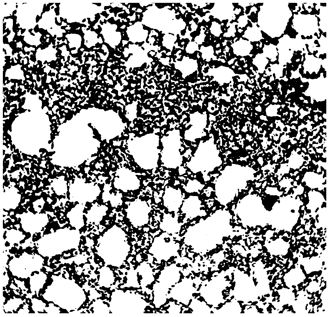 A kind of Raoultella pan22x and its application