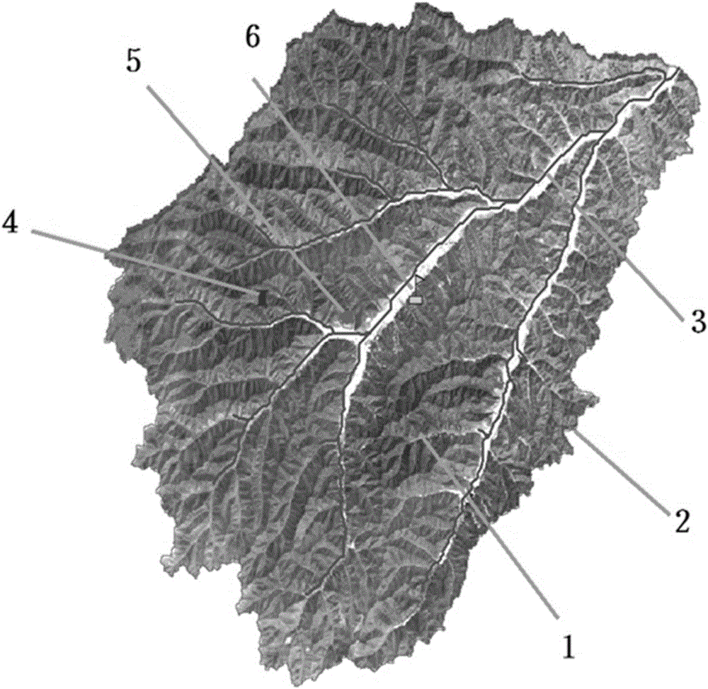 Heavy rain type diluted debris flow monitoring, forecast and early warning device and method