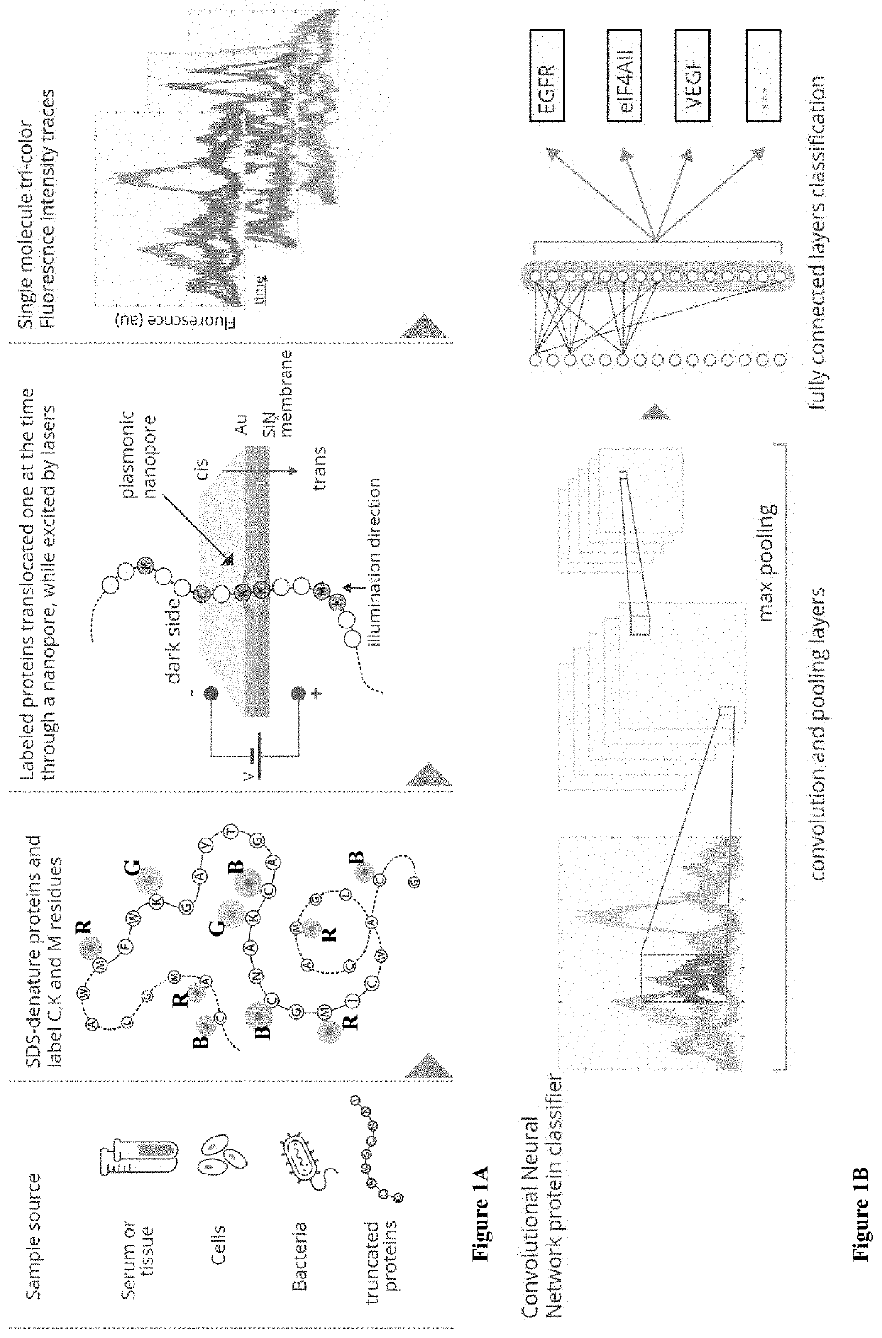 Machine learning for protein identification