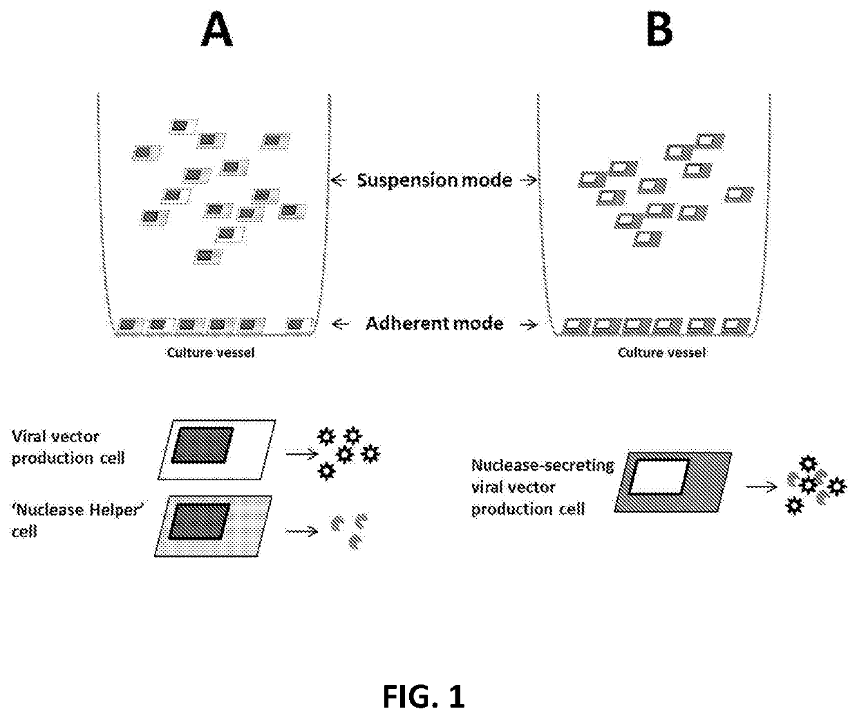 Viral vector production system