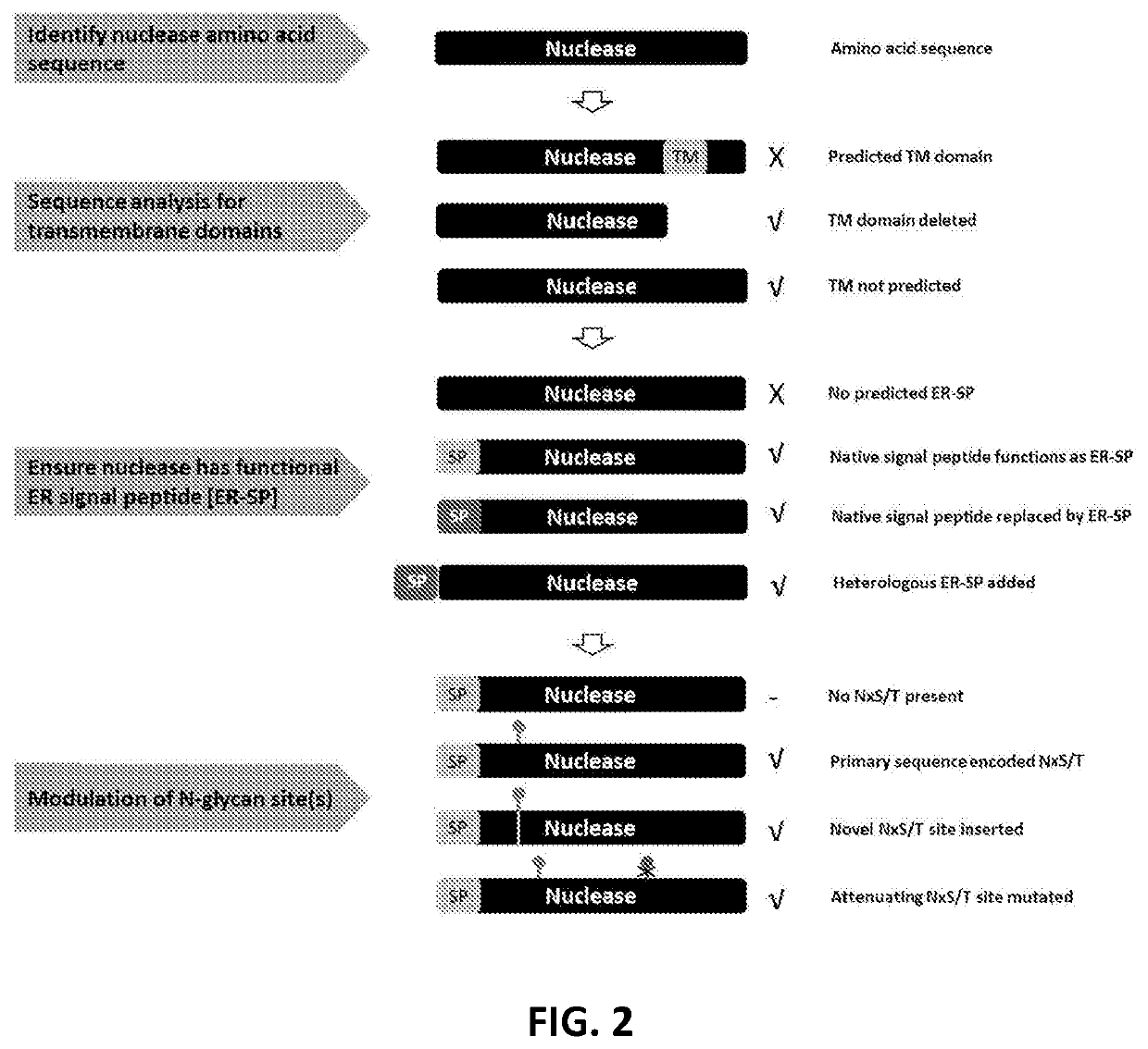 Viral vector production system